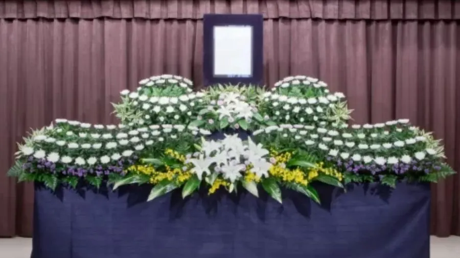 清流45コース写真