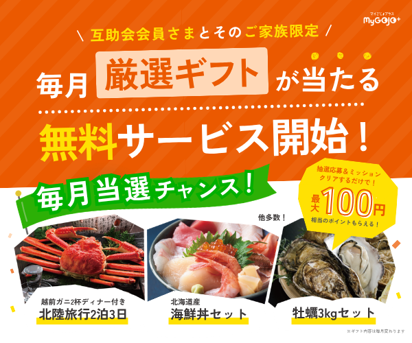 300250 mygojo plus webbanner